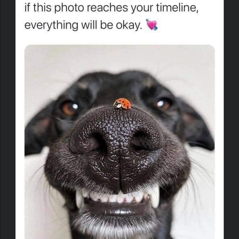 I hope you have a great day!